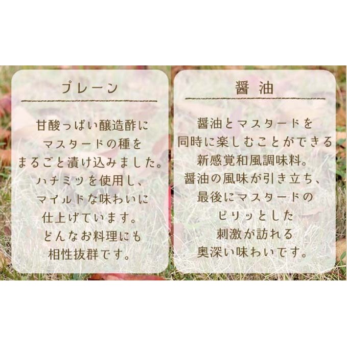 調味料 マスターネ プレーン しょう油 2本セット 100g×各1 マスタード 食べ比べマスタードシード 味付け 辛くない 料理 アクセント和食 洋食 中華 万能調味料 _イメージ2