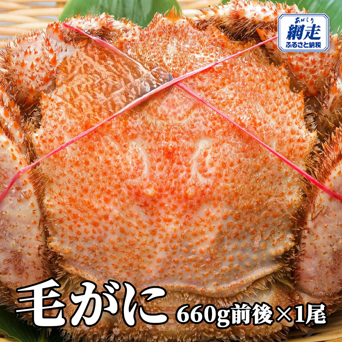 【ふるさと納税】網走産 毛がに660g前後×1尾【 ふるさと納税 人気 おすすめ ランキング かに カニ 蟹 毛ガニ 毛がに 毛蟹 網走産 冷凍 蟹みそ カニみそ 蟹味噌 オホーツク 北海道産 北海道 網走市 送料無料 】 ABW106