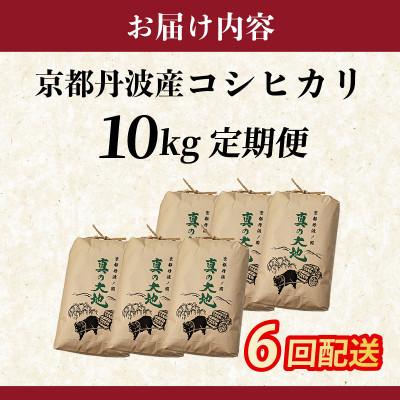 ふるさと納税 亀岡市 【毎月定期便】農家直送 京都丹波産 コシヒカリ 精米 10kg(10kg×1袋)全6回 |  | 03