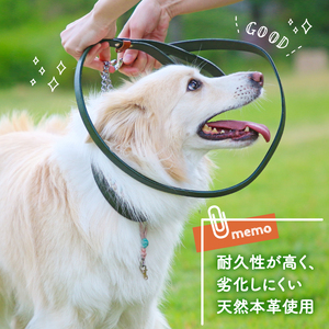 【本革首輪】  超小型犬用　首輪　マイスタープラス　レザーハーフチェーンカラー　カーキ　#１０【 ペット 大阪府 松原市 】