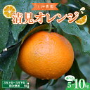 【ふるさと納税】【先行受付】上神農園 の 清見オレンジ 約5kg / 約10kg内容量が選べる みかん ミカン 蜜柑 フルーツ 果物 柑橘 ビタミンC お取り寄せ 先行予約 国産 国内産 広島県 呉市 オレンジ 果汁 たっぷり ジューシー 甘い 爽やか 温州みかん 瀬戸内海 清見