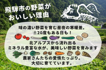 【11月中旬～12月下旬発送】2回定期便 旬の冬野菜定期便 雪国飛騨の美味しい冬野菜セット 3種類以上 大根 キャベツ 赤かぶ ほうれん草 春菊 ブロッコリー さつまいも 白菜 野菜 産地直送[Q14