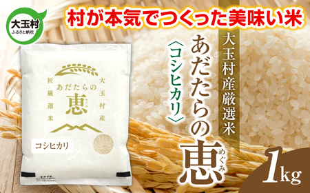 米 大玉村産厳選米「あだたらの恵」（品種：コシヒカリ） 1kg 《 令和7年産  》｜ 福島 大玉村 お米 米作り こしひかり 令和7年 精米 白米 こめ コメ ご飯 送料無料 大玉村農業振興公社 ｜ on-ak-1kg-r7