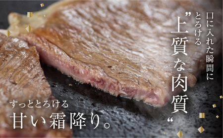 【ふるなび限定】飛騨牛サーロイン ステーキ 400g (200g×2枚)  ステーキ FN-Limited-PR