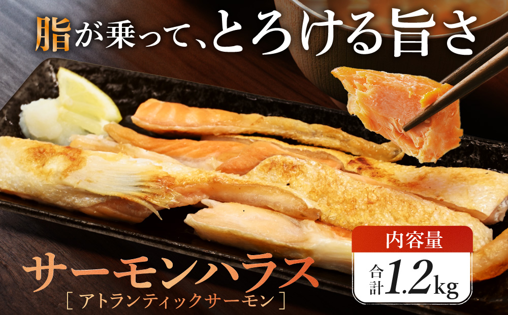 サーモン ハラス 1.2kg(200ｇ×6p) アトランティックサーモン 鮭 鮭はらす 大洗町 大洗 魚 さかな 魚介類 冷凍 工場直送 おかず おつまみ<br>