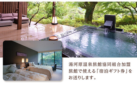 湯河原温泉ふるさと納税「宿泊ギフト券」 120,000円分