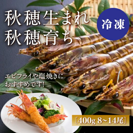 D238【ふるさと納税】旭水産活き〆冷凍車海老（あいおえび）400g（8～14尾）[養殖]