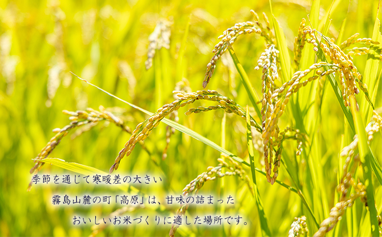 【数量限定】新米 令和6年産 きりしまの湧水育ち福澤ファームの高原町産ひのひかり5kg　TF0809-P00076