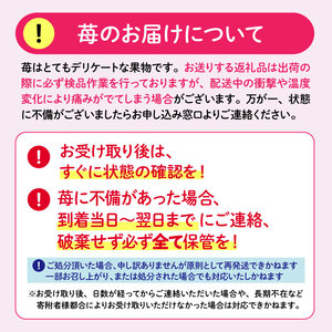 きらぴ香 いちご イチゴ 苺 800g 【 きらぴ香 】