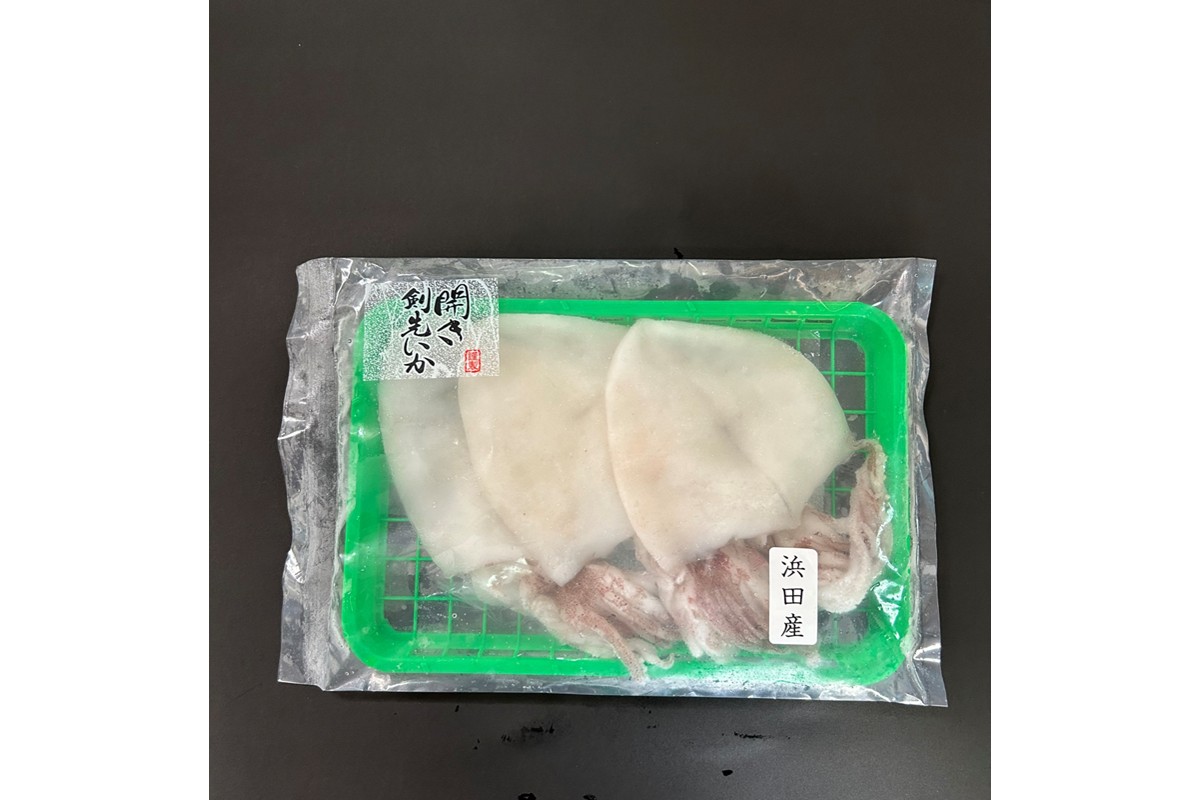 【イカ好き必見!】浜田名物イカ三昧セット(干物・塩辛・いかめし) 【025_0439】