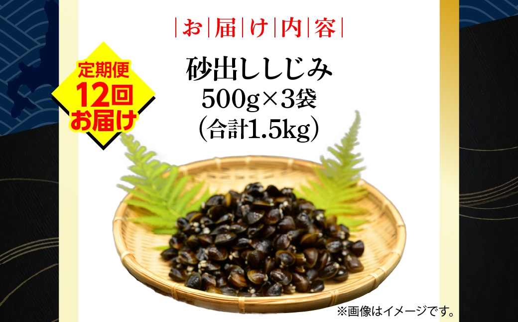 【定期便】無添加大粒砂出ししじみ500g×３袋合計1.5kg 全12回 ABAO143 配送回数:12回