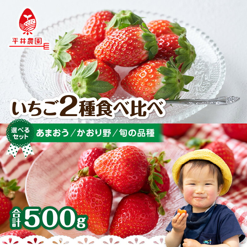 【ふるさと納税】いちご食べ比べセット （合計500g）｜2026年12月下旬〜順次発送＜ひらい観光農園＞ いちご イチゴ 苺 旬 期間限定 数量限定 デザート フルーツ 食べ比べ 福岡県 八女市