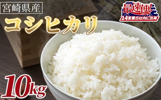 ＜令和7年度産　宮崎県産コシヒカリ　10kg＞14営業日以内に順次出荷【 国産 米 お米 最速便 白米 精米 こしひかり ごはん ご飯 白飯 食品 】