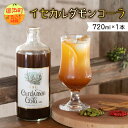 【ふるさと納税】【高評価★5.00 高レビュー★】フローナルのイセカルダモンコーラ 大瓶 シロップ 着色料・香料・保存料不使用 健康 おうち時間 マイヤーレモン スパイス コーラシロップ クラフトコーラ コーラ 三重県 御浜町 送料無料