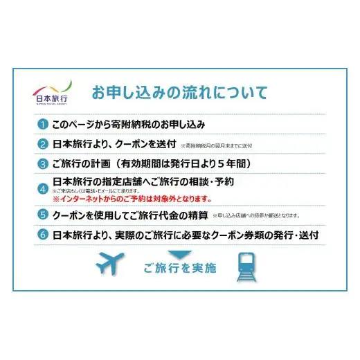 沖縄県石垣市　地域限定旅行クーポン30,000円分 NR-1
