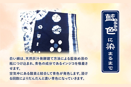 藍染体験 一般社団法人ジャパンブルー上板 《30日以内出荷予定(土日祝除く)》