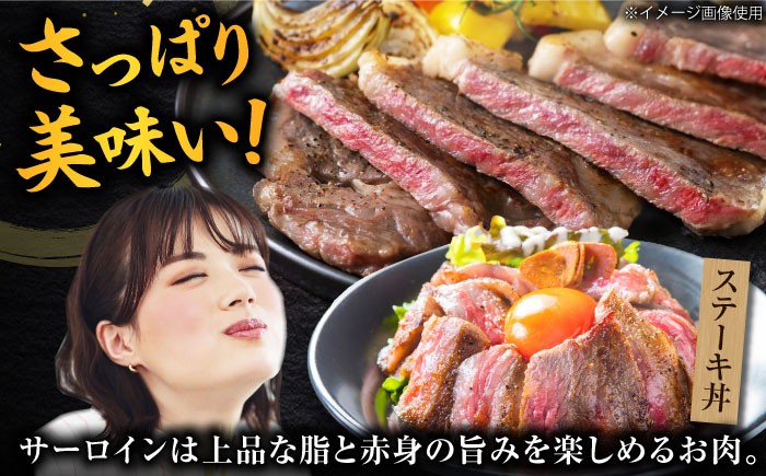 飛騨牛 ブランド牛 A5 サーロイン ステーキ サーロインステーキ 4枚  ステーキ肉 すてーき  さーろいん 肉 牛肉 定期便