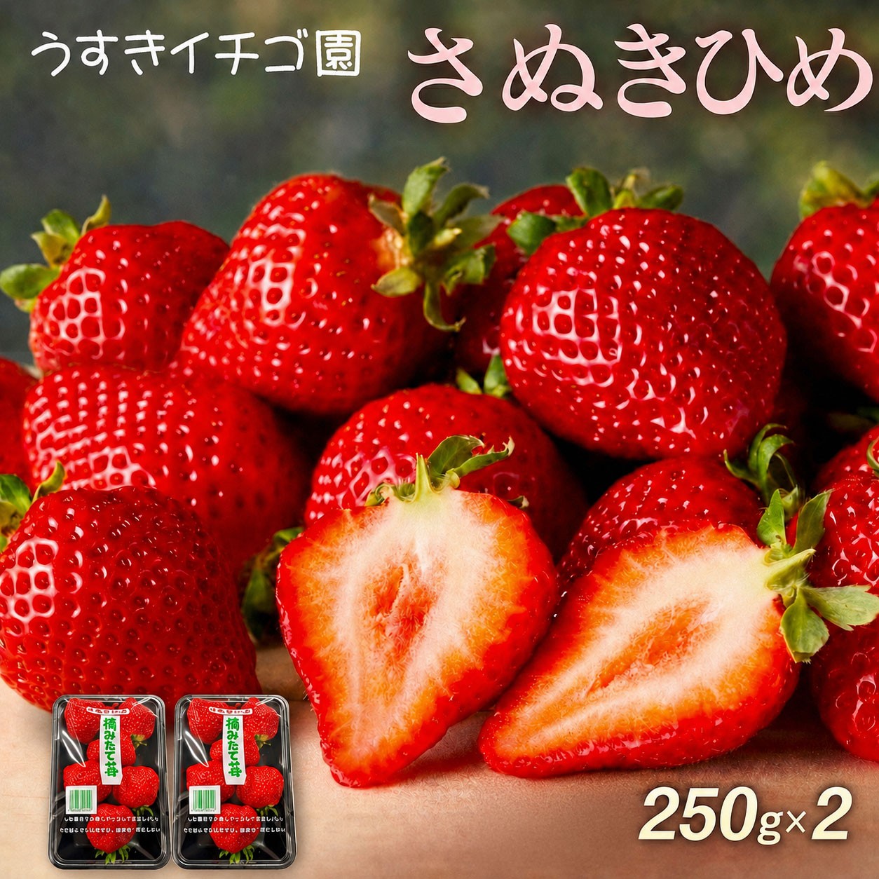 
                  いちご 苺 さぬきひめ 約500g (250g×2) 2027年 産地 直送
                