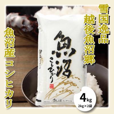 ふるさと納税 魚沼市 【雪国逸品 精米4kg】越後魚沼郷 魚沼産コシヒカリ(2kg×2袋)