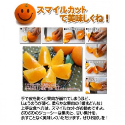 柑橘界のスイーツ!?愛媛県八幡浜産媛まどんな5kg【訳あり】【E35-10】【配送不可地域：離島・北海道・沖縄県】【1492233】