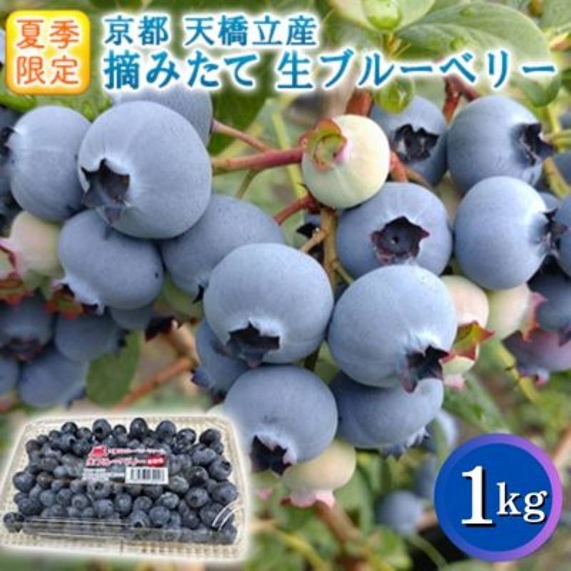 【ふるさと納税】【ふるさと納税】令和8年夏季予約販売 摘みたて 生ブルーベリー 1kg 〈お届け：2026年8月中旬まで 〉フルーツ ブルーベリー　お届け：2026年8月中旬まで