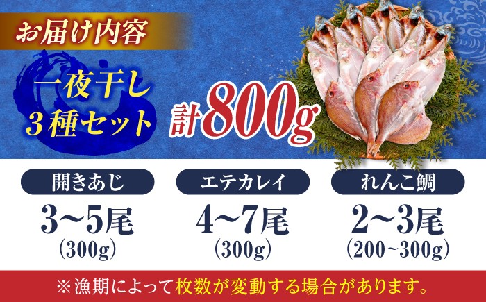 訳あり 干物 一夜干し アジ 鯵 あじ 鯛 レンコ鯛 カレイ かれい えてカレイ 開き 山陰 島根 松江 塩分控えめ