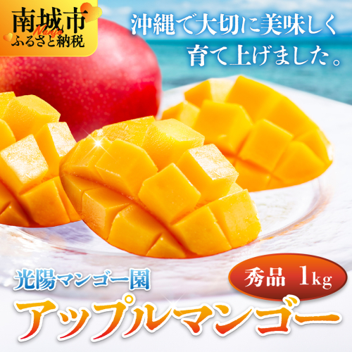 ＜先行予約・数量限定＞アップルマンゴー 秀品（2kg）KM001