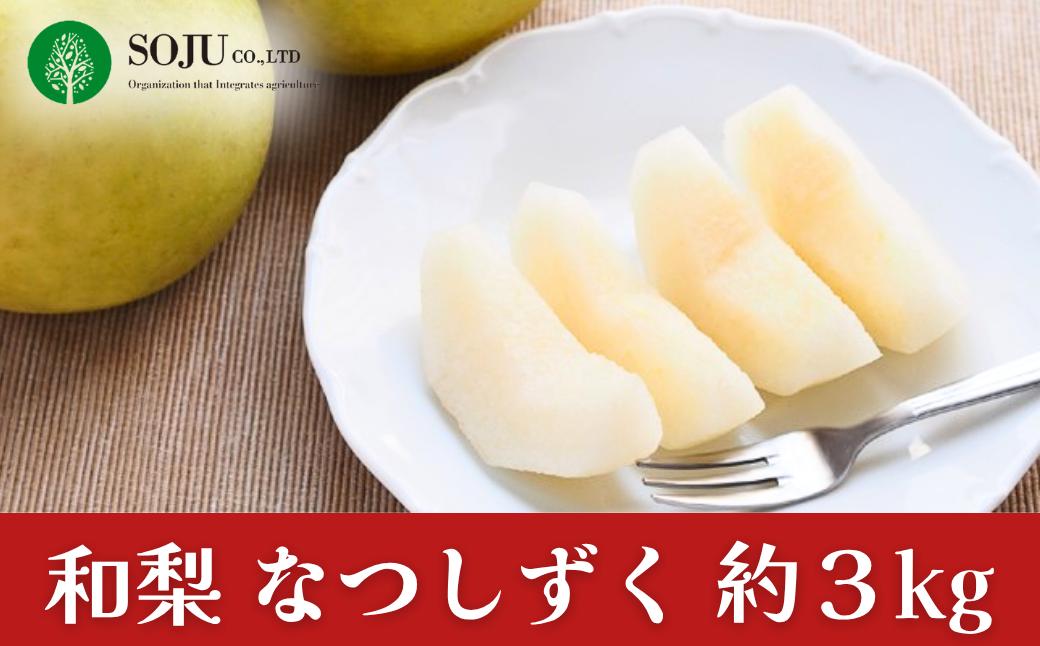 
                  和梨 なつしずく 約3kg 令和8年度 新潟県 三条市産 [三条果樹専門家集団]【016P036】
                