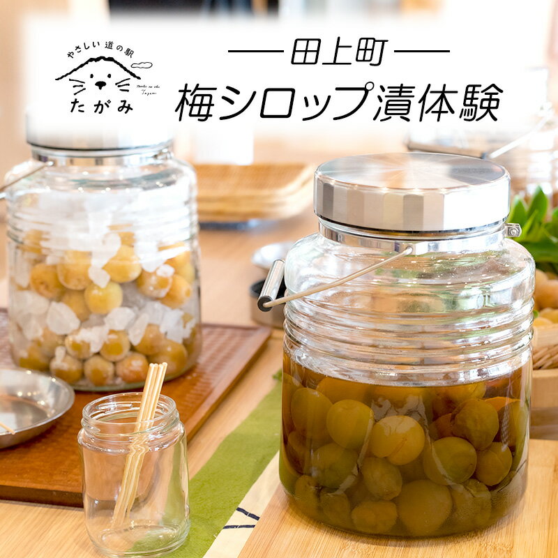 【ふるさと納税】梅シロップ漬体験