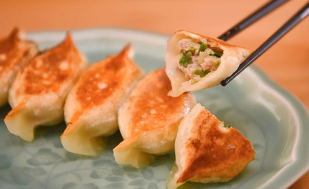 3回 定期便 地元野菜 ・ 国産素材 を使用 ニンニク不使用 手作り焼き餃子 ( 冷凍 ) 20個 【 手作り餃子の店 吉春 】 | 料理 食品 ぎょうざ ギョーザ 餃子 水餃子 冷凍餃子 人気 にん