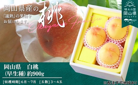 桃 2027年 先行予約 桃 早生種 約900g 3～4玉