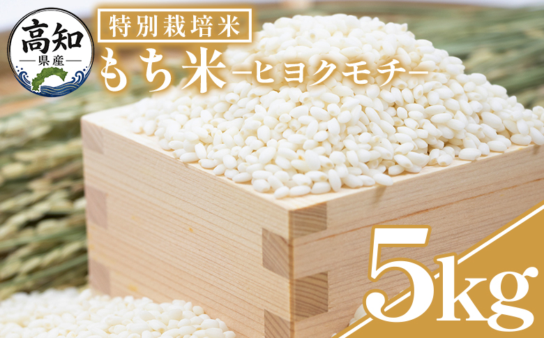 もち米 ５kg 【令和8年産】高知県香南市産 特別栽培米 nu-0018