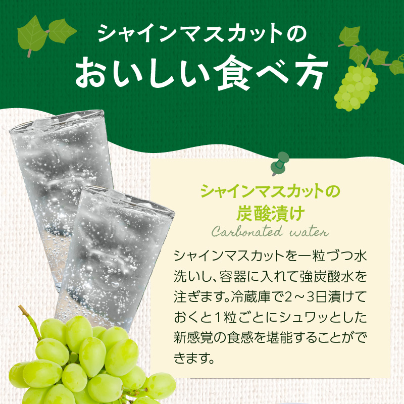 【先行予約】シャインマスカット（350g×4パック）【ＪＡふくおか八女】｜９月上旬〜発送予定 マスカット ぶどう 種なし 皮ごと食べられる 糖度18度 高糖度 甘い 厳選 産地直送 新鮮 1.4kg 