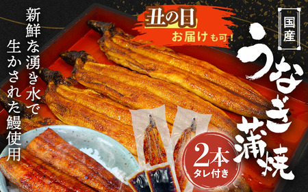 【土用の丑の日までにお届け】国産うなぎ蒲焼（２本）タレ付き /  和歌山 田辺市 国産 国産うなぎ 国産鰻 うなぎ 鰻 鰻丼 うな丼 土用の丑の日【ots016-dy】