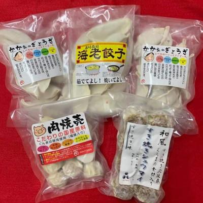 ふるさと納税 前橋市 かかぁのぎょうざ&amp;しゅうまい　食べくらべセット