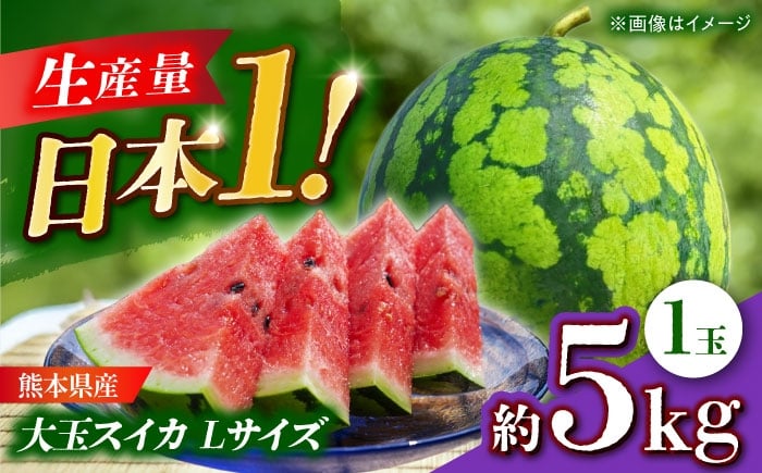 
            【先行予約】 大玉スイカ Lサイズ 1玉入り 約5kg すいか 大玉 熊本 フルーツ 野菜 果物 【日本フルーツ株式会社】 [ZFJ045]
          