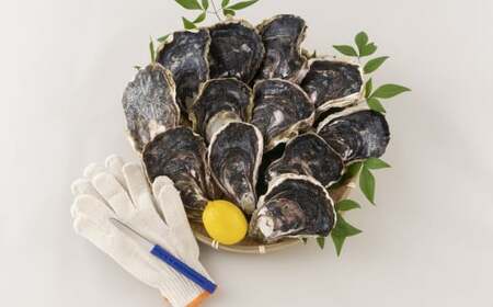 九十九島かき本舗岩がきC