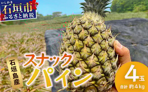【先行予約】《2025年5月上旬頃より順次発送》石垣島産 スナックパイン (4玉 約4kg)【 産地直送 沖縄 石垣 パイナップル パイン スナック フルーツ トロピカル 南国 】 TP-8-1