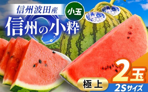 【先行受付：2026年7月発送】信州波田産 小玉スイカ！信州の小粋 【特上】 2玉 2Sサイズ｜ふるさと納税 長野県 信州 松本 果物 フルーツ すいか スイカ 西瓜 贈答 季節限定 甘い くだもの ふるーつ