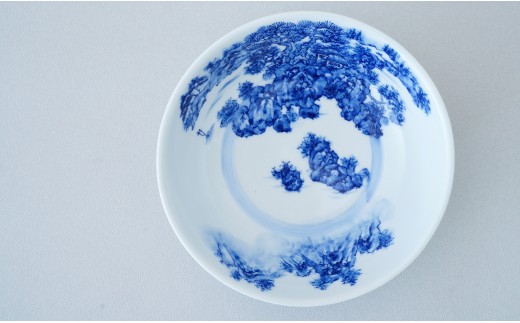 有田焼 山水絵 浅平鉢【起山窯】食器 器 うつわ 鉢 17センチ 手描き 染付 山水絵 ギフト プレゼント co020