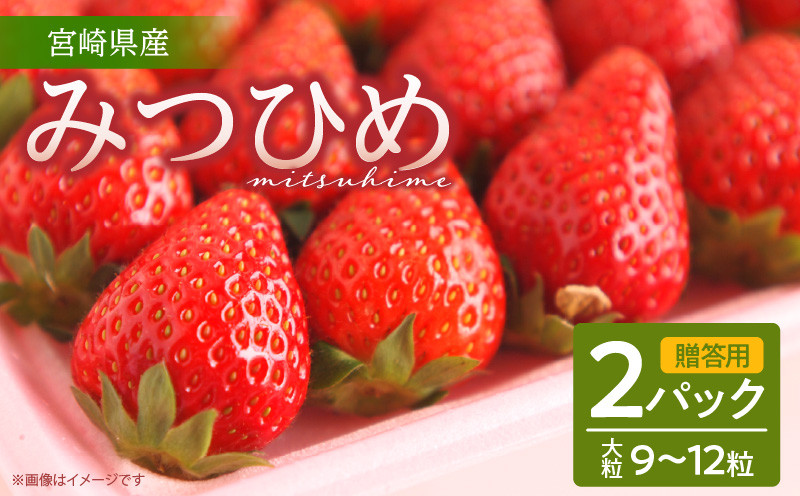 
            【期間・数量限定】【贈答用】宮崎県産いちご みつひめ 2パック_M209-001
          