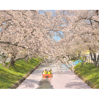 【ふるさと納税】大口町五条川遊覧船　親子ペア乗船券(引換券)【1704691】