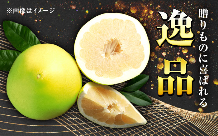 高知県産 水晶文旦 約3kg 6玉入 贈答用〈2026年9月下旬～11月上旬頃発送〉 /  高知 水晶 文旦 柑橘 果物 フルーツ くだもの 贈答 お中元 お歳暮 ギフト ぶんたん 【株式会社　四国健