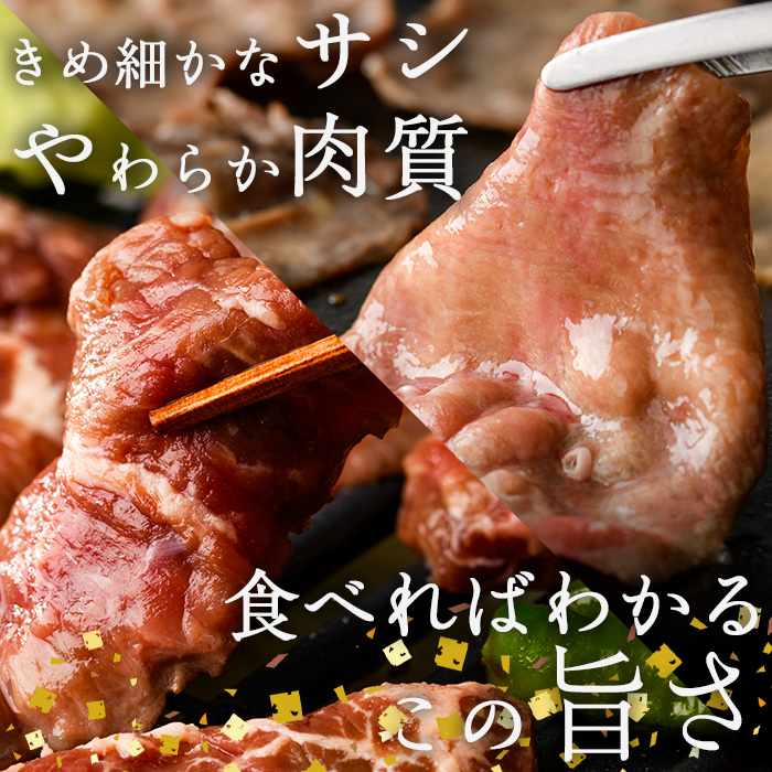 ＜定期便・全6回 (2か月ごとの発送)＞ たっぷり！ 薄切り 塩 牛タン・牛ハラミ セット (総量7.2kg) 小分け 牛肉 肉 タン たん ハラミ はらみ 詰め合わせ 味付け 焼肉 BBQ 冷凍 大
