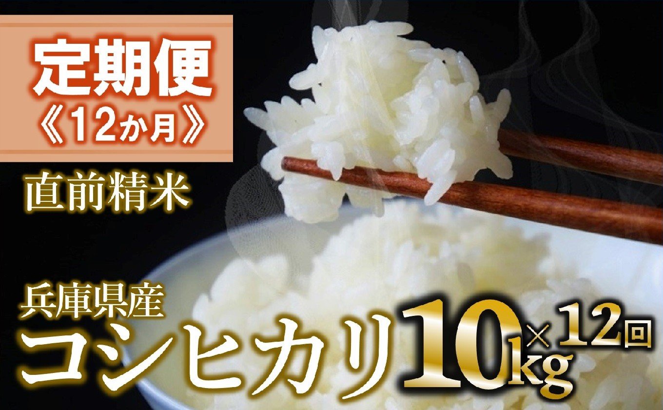 
            【定期便 3か月 コシヒカリ】白米10kg（12か月連続お届け）新米 2025年産 米 お米 米10㎏ お米10㎏ 兵庫県産 こしひかり コシヒカリ 西脇市産 定期 連続 12回 12か月 1年 2025年産 精米 便利 らくちん ラク
          