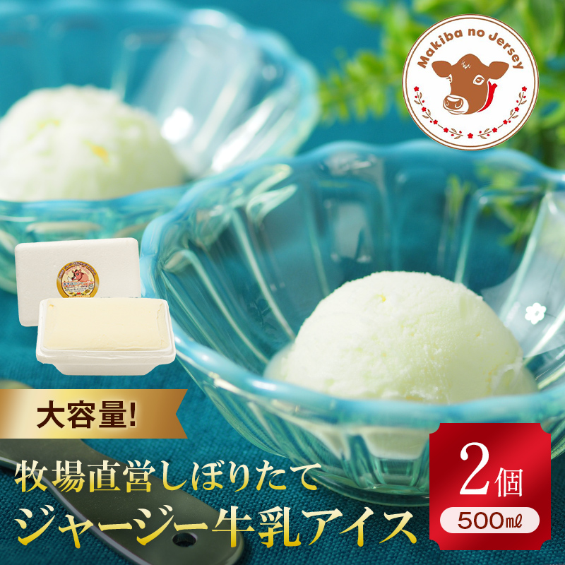 【ジャージー牛乳使用】まきばのジャージーアイス 500ml×2 (絶品ミルク) 福島県 伊達市 東北 ミルクアイス アイスクリーム 濃厚 F21C-039