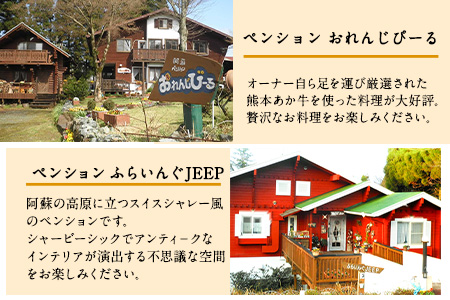 【選べる7施設】南阿蘇のペンション ペア平日1泊2食付き宿泊券／ペット同伴OKの宿も有り《30日以内に出荷予定(土日祝除く)》 熊本県南阿蘇村 ギフト 旅館 温泉 一般社団法人みなみあそ観光局
