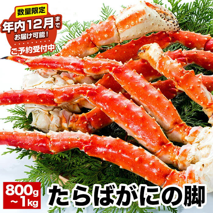 【ふるさと納税】 ★年内 12 月お届け、数量限定でご予約受付中★タラバガニ 800g ~ 1kg × 1 肩 たらば タラバ たらばがに たらば蟹 タラバ蟹 かに カニ 蟹 お取り寄せ グルメ 海鮮 ボイル 茹で蟹 茹でがに 茹でガニ 北海道 根室市 ふるさと納税 B-38011