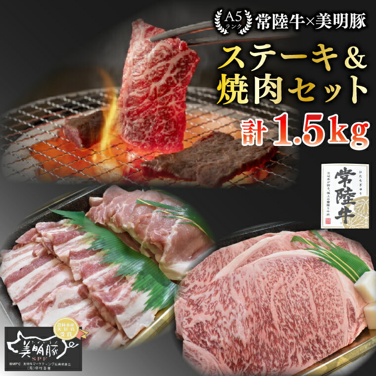 【ふるさと納税】【常陸牛 A5ランク・美明豚ステーキ焼肉セット】常陸牛サーロイン900g（300g×3枚）＋美明豚600g（ロース300g・ばら300g） 冷凍 国産牛 和牛 牛肉 豚肉　ブランド豚 茨城県 水戸市 食べ比べ セット商品 国産 BBQ 老舗精肉店 EK-36