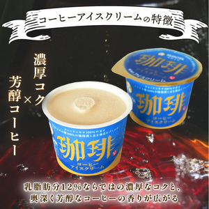コーヒーアイスクリーム 110ml×12個
